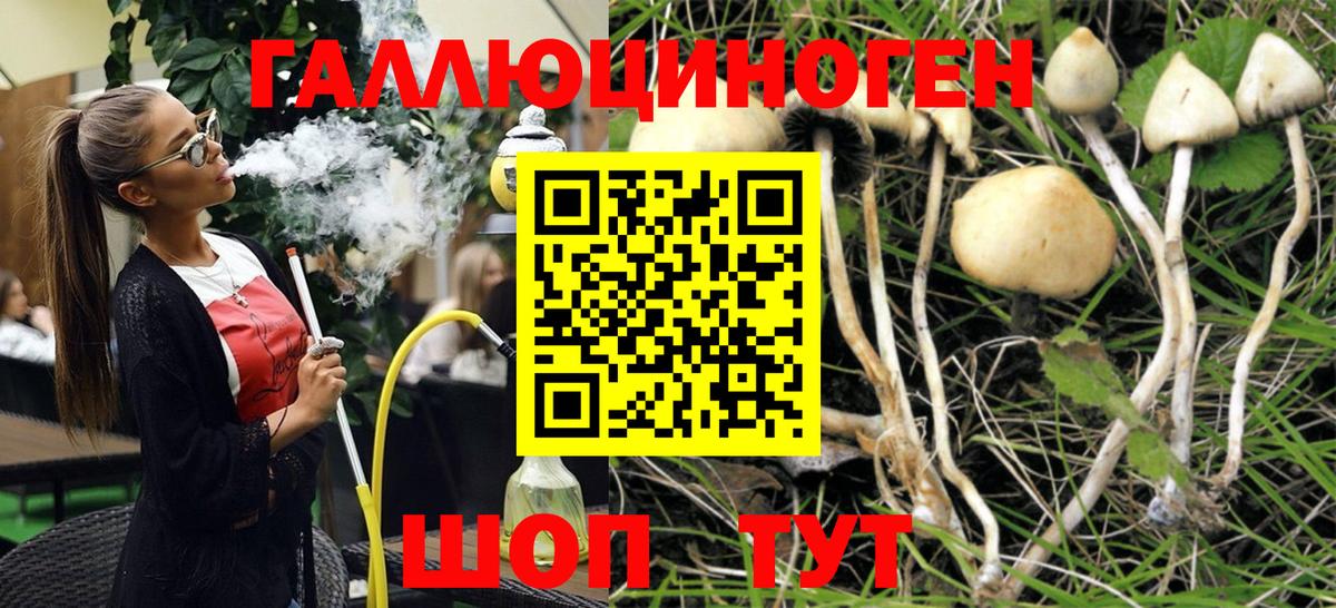 Галлюциногенные грибы Magic Shrooms  Псилоцибиновые грибы мухоморы  Вход с VPN  где продают наркотики  Тара 