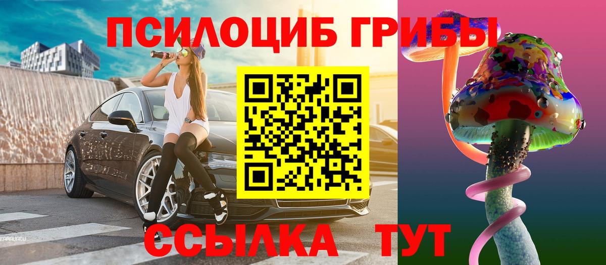 Псилоцибиновые грибы Magic Shrooms Тара