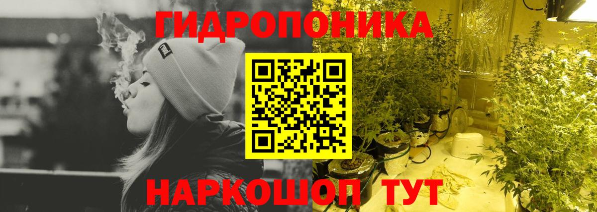 Тара  Каннабис ГИДРОПОН  Вход с VPN  Шишки марихуана LSD WEED  Шишки марихуана LSD WEED 